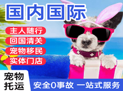 嫩江墨尔根机场物流国际宠物托运 【国